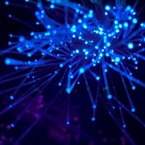 network